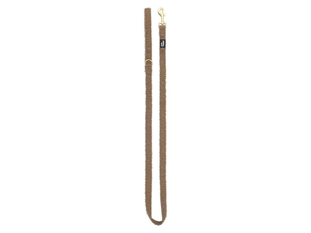 Collier pour chien ou laisse pour chien au design teddy