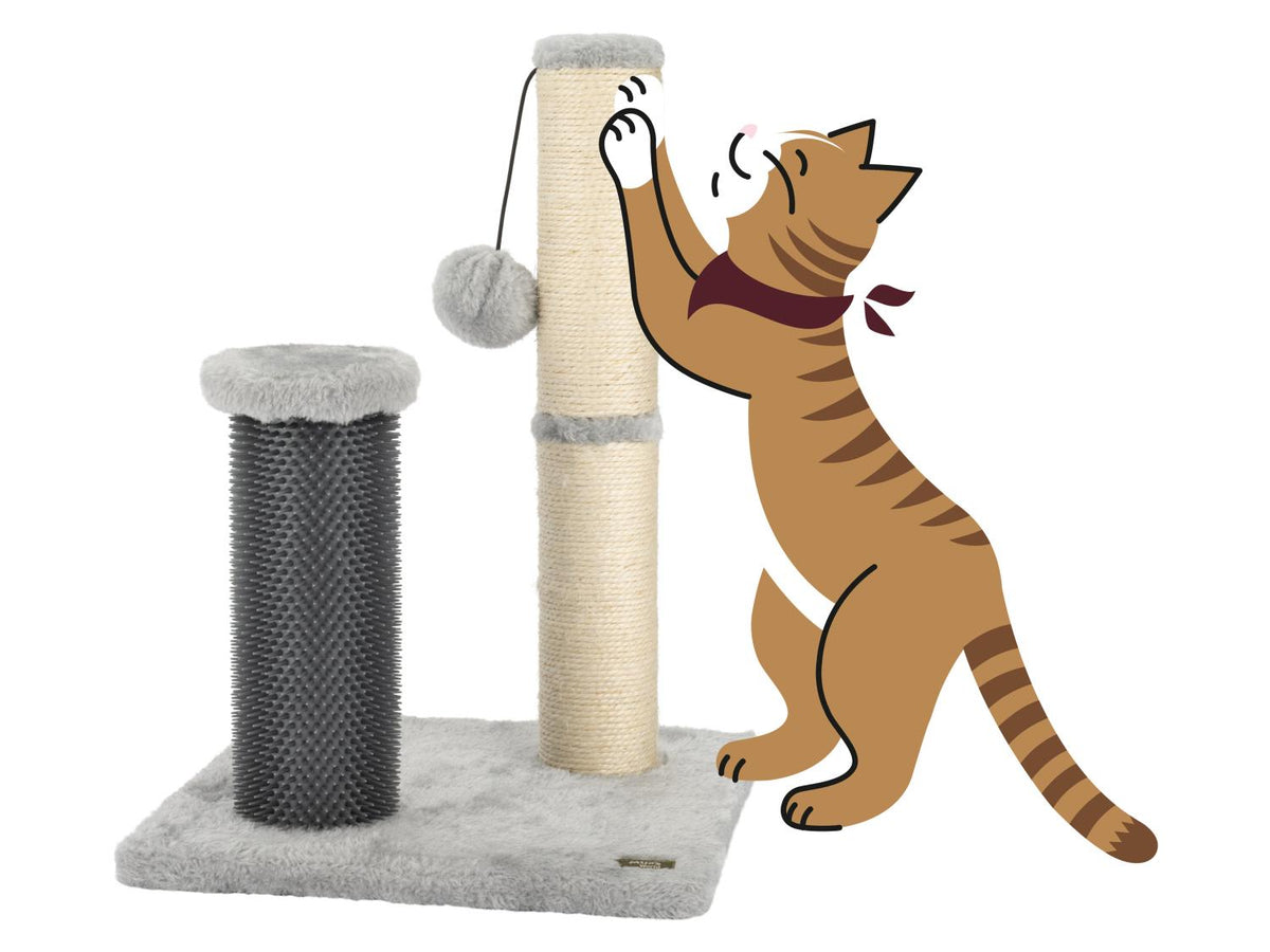 Griffoir pour chat ou Griffoir avec planche de massage ou griffoir avec brosse de massage