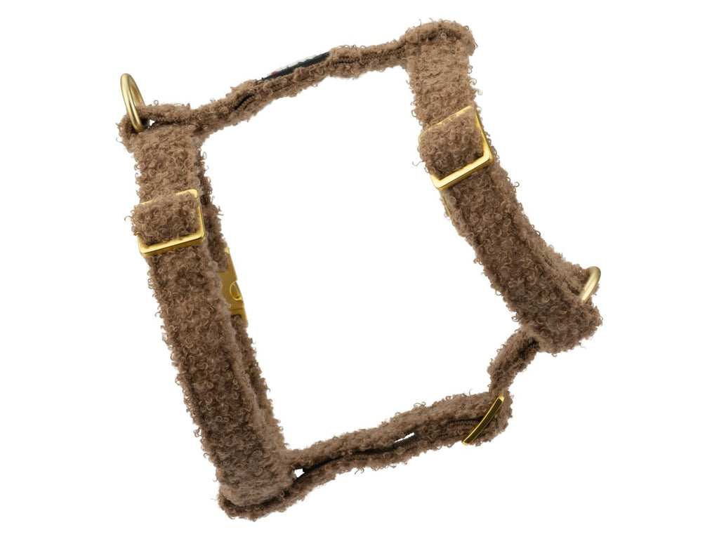 Harnais pour chien, Teddy