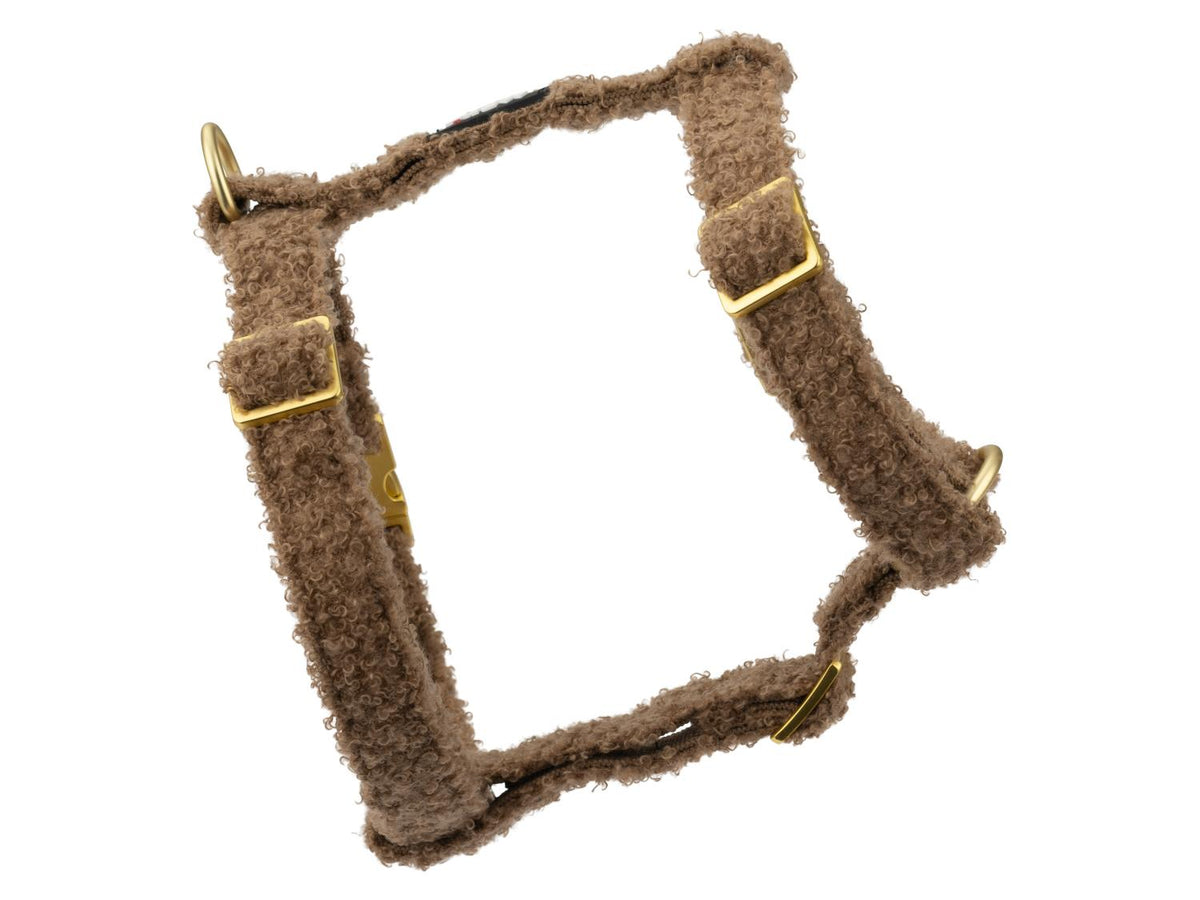 Harnais pour chien, Teddy