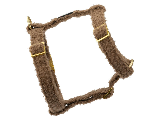 Harnais pour chien, Teddy