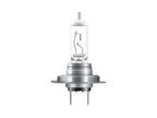 Ampoules halogènes pour phares auto H7 / H4, lot de 2
