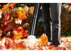 Aspirateur et souffleur de feuilles thermique »PBLS 26 B2«