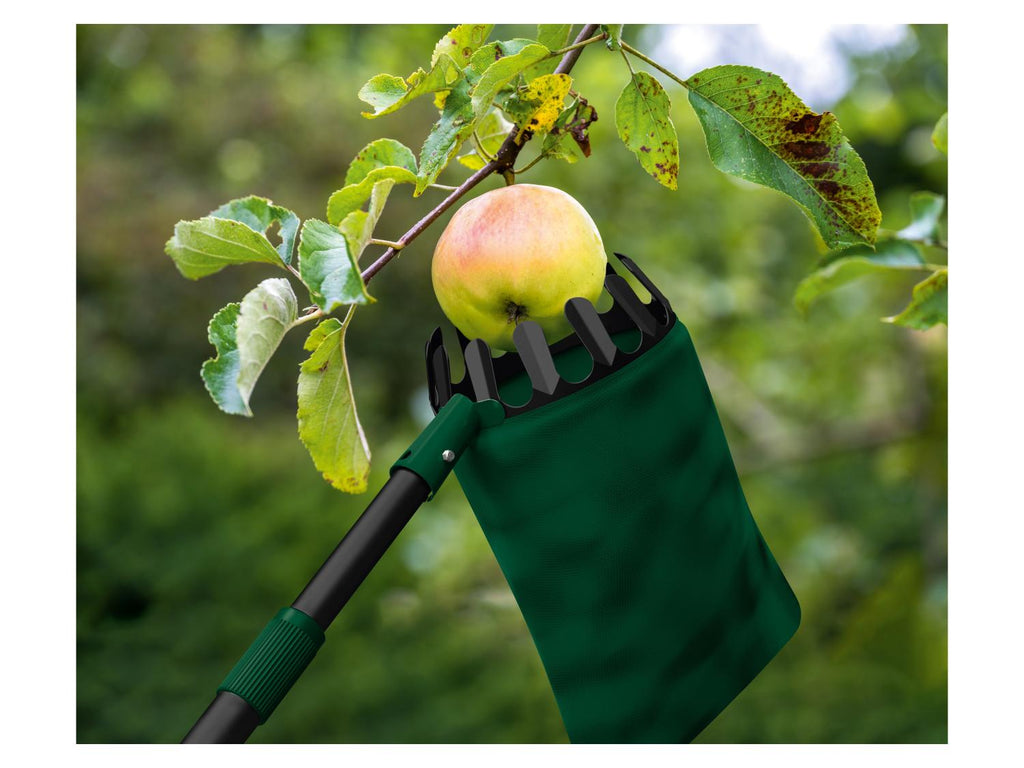 Cueille-fruits ou Rouleau ramasse-noix