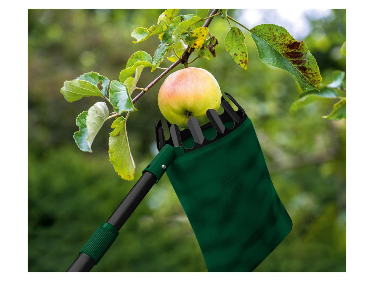 Cueille-fruits ou Rouleau ramasse-noix
