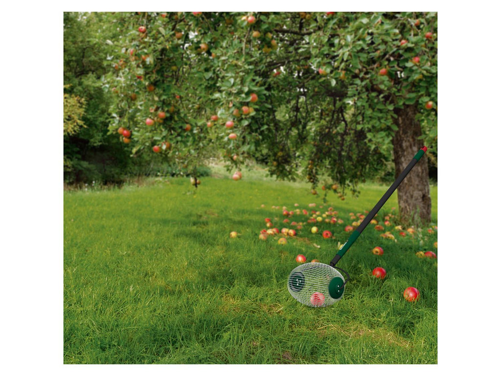 Cueille-fruits ou Rouleau ramasse-noix