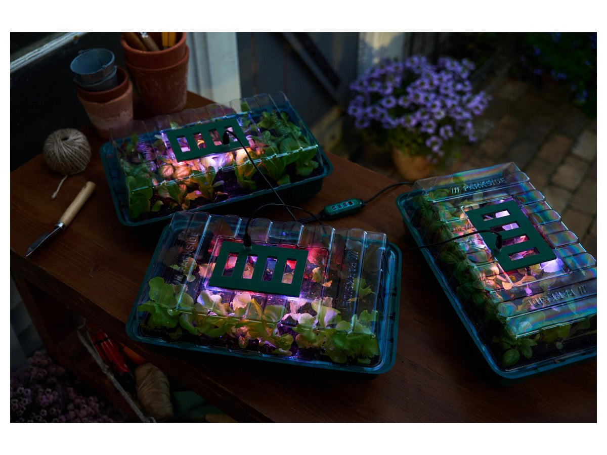 Kit de germination LED