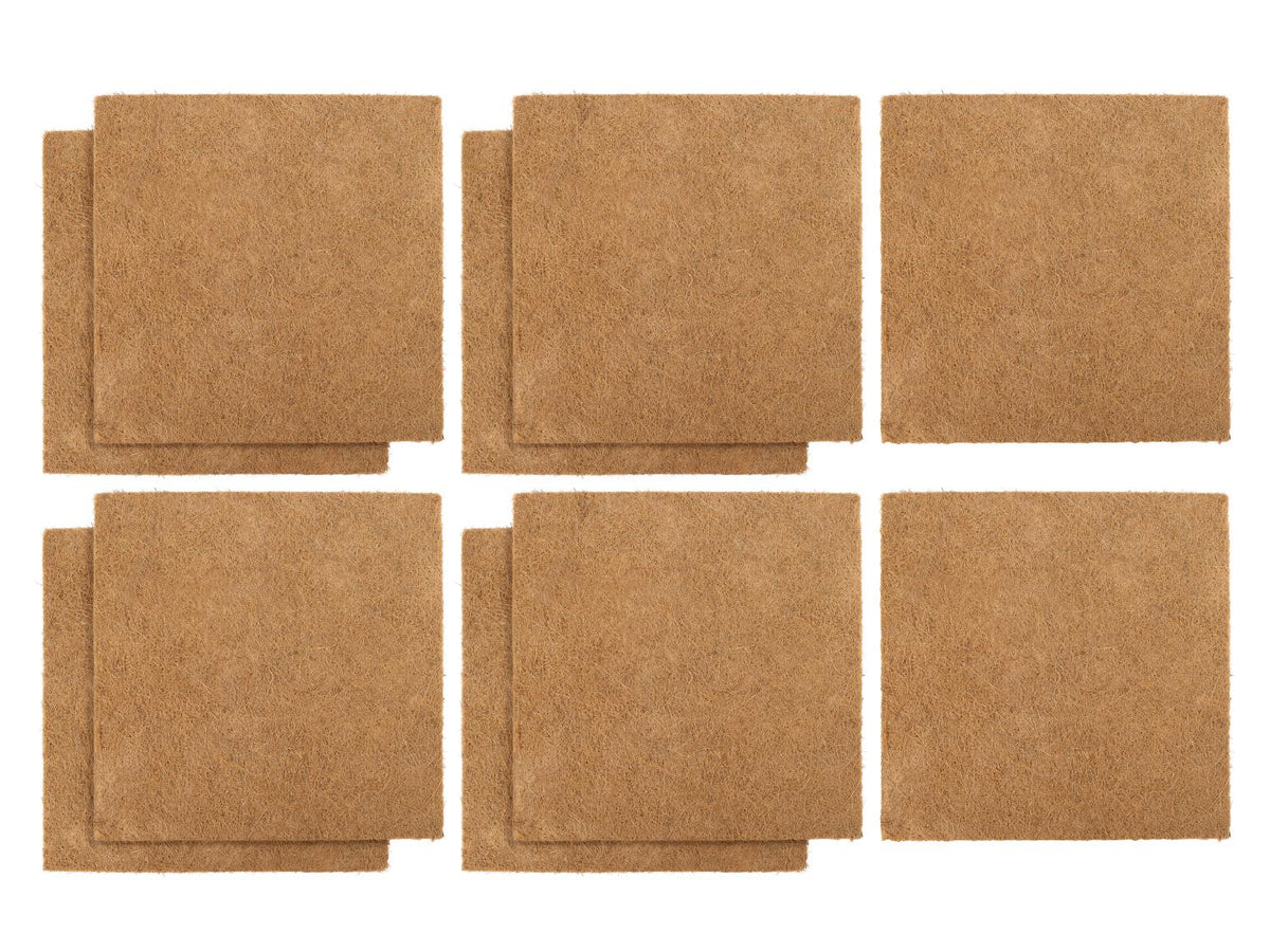 Lot de 10 disques de coco