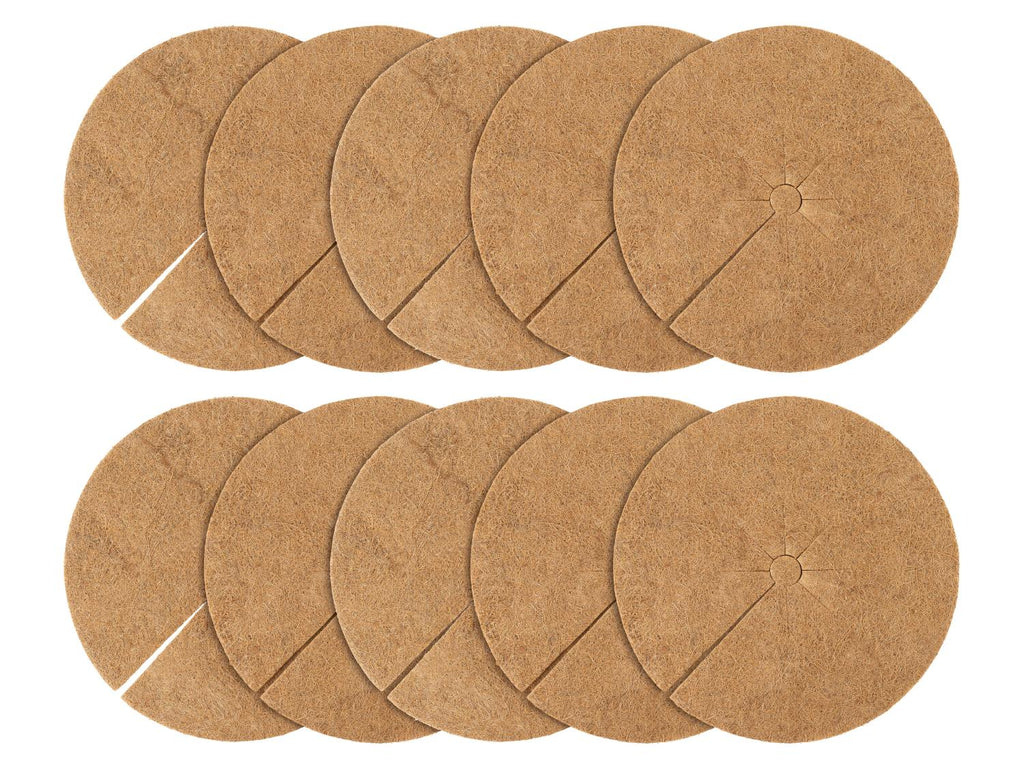 Lot de 10 disques de coco