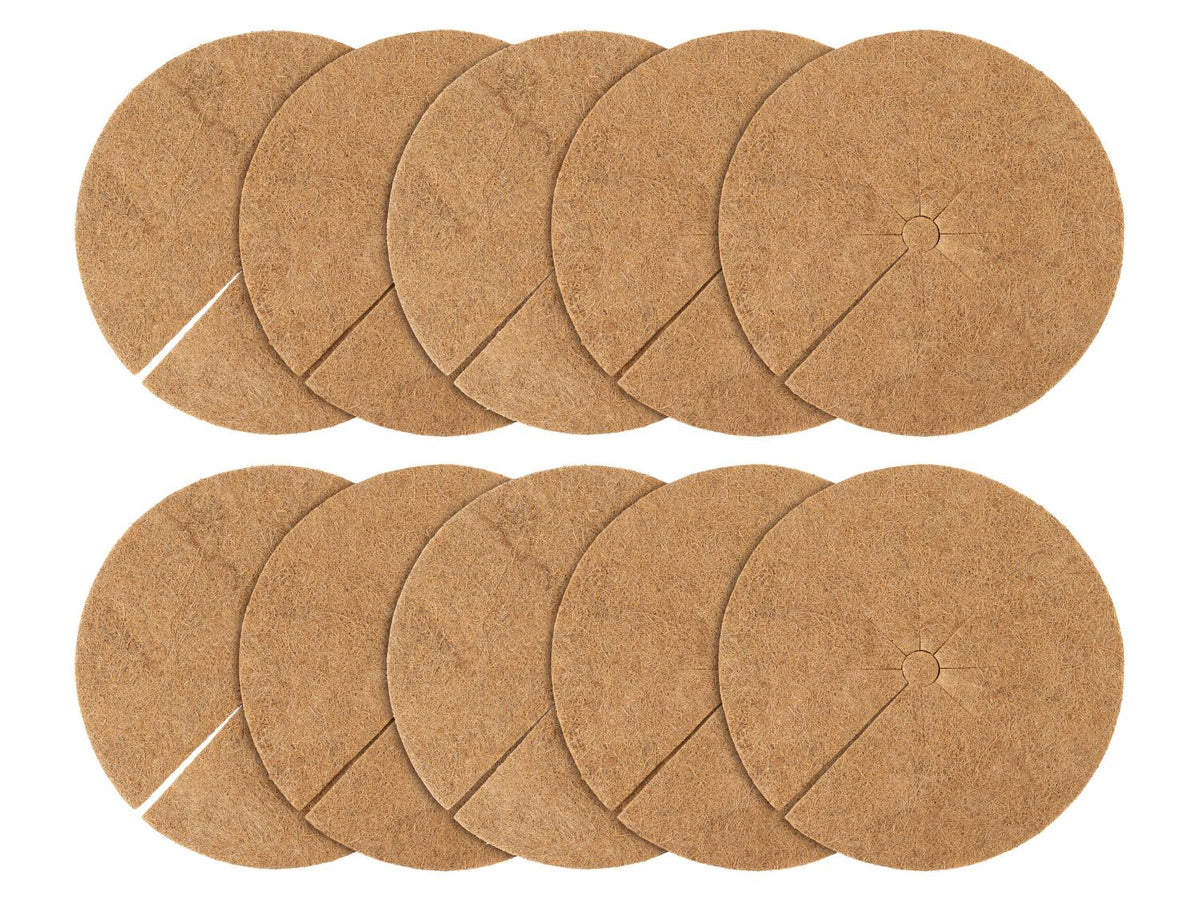 Lot de 10 disques de coco