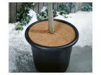 Lot de 10 disques de coco