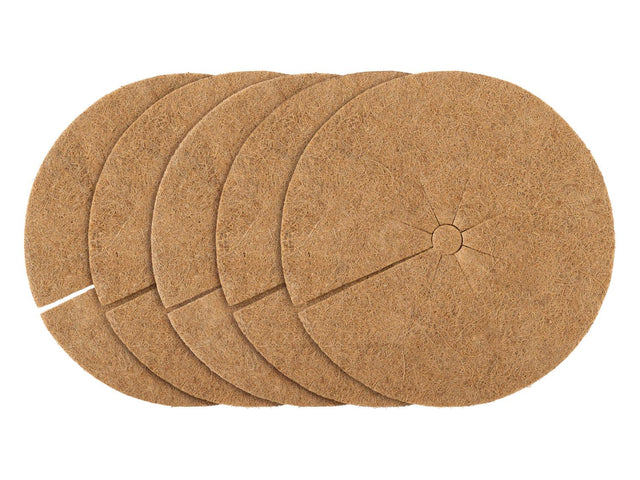 Lot de 10 disques de coco