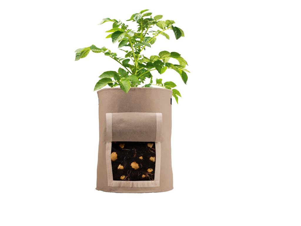 Lot de 2 sacs de plantation en feutre