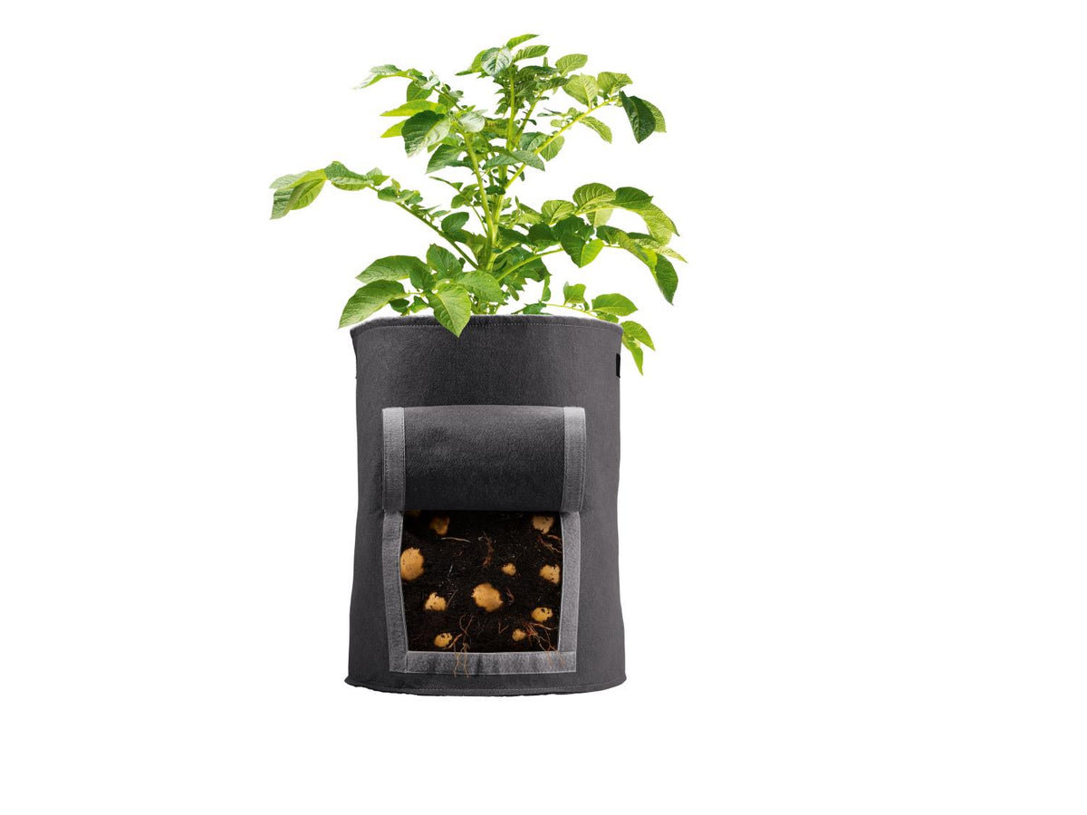 Lot de 2 sacs de plantation en feutre