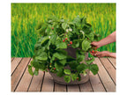 Lot de 2 sacs de plantation en feutre