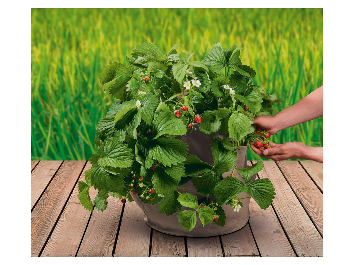 Lot de 2 sacs de plantation en feutre