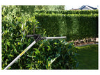 Outil de jardin multifonction sans fil AKG 40-Li A1, 40 V