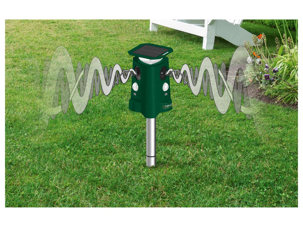 Repousseur d'animaux solaire PTUS360 1 B2, 360°, 8 m