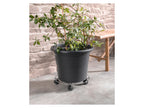 Rouleur pour plantes, avec 2 freins