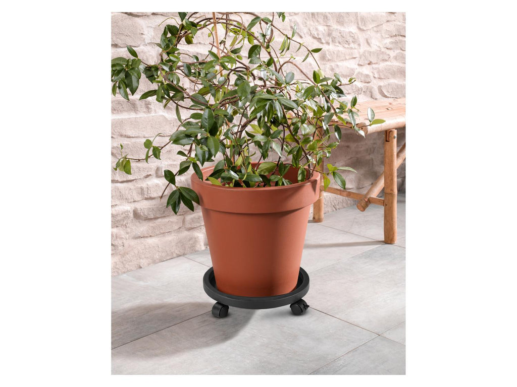 Rouleur pour plantes, avec 2 freins