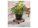 Rouleur pour plantes, avec 2 freins