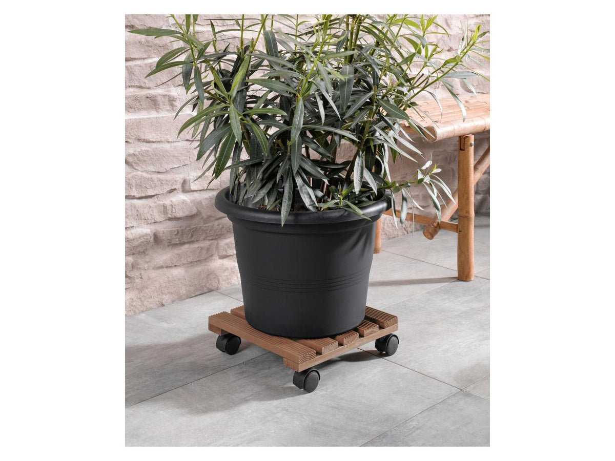 Rouleur pour plantes, avec 2 freins