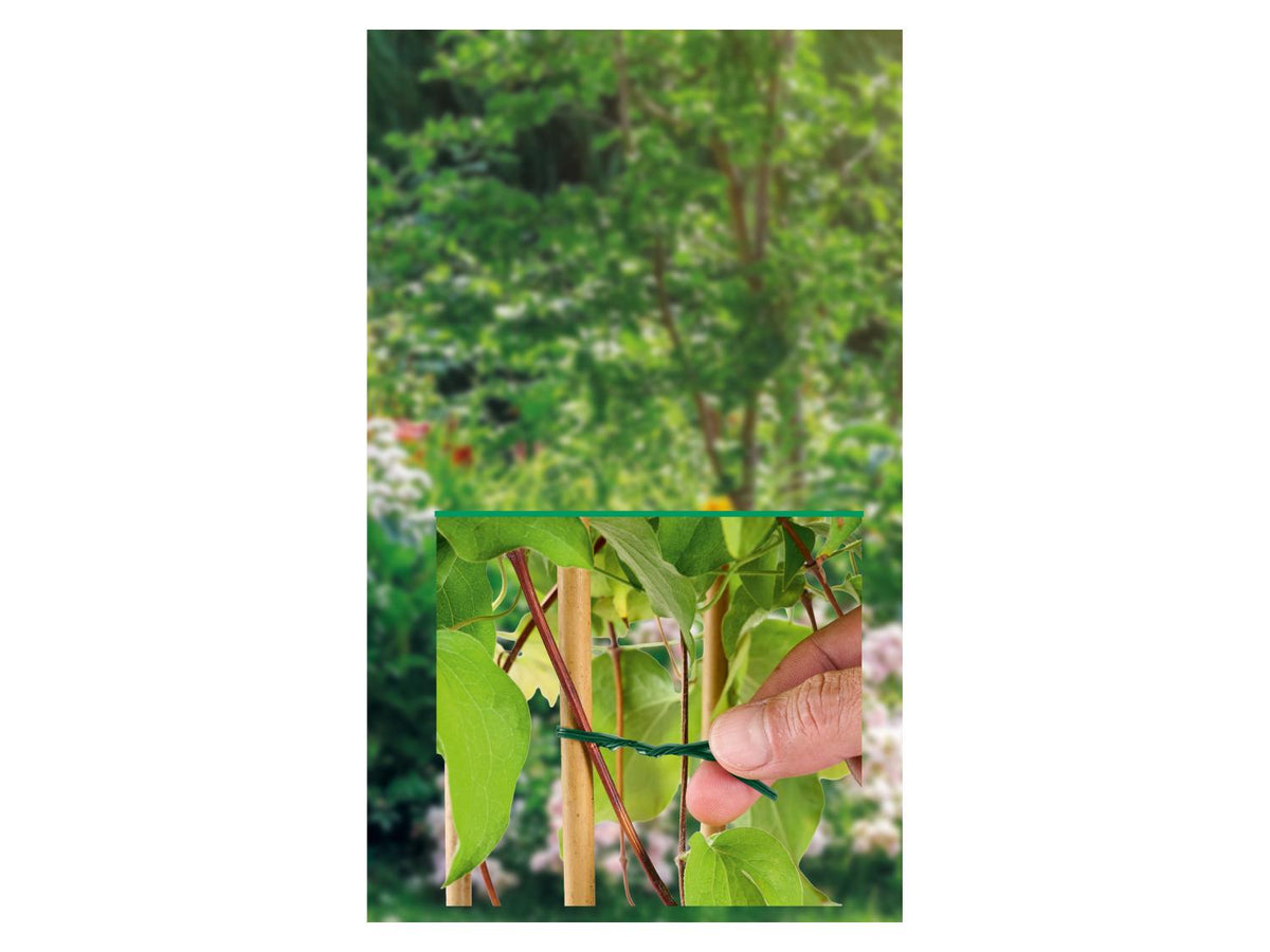 Set de supports ou fils pour plantes