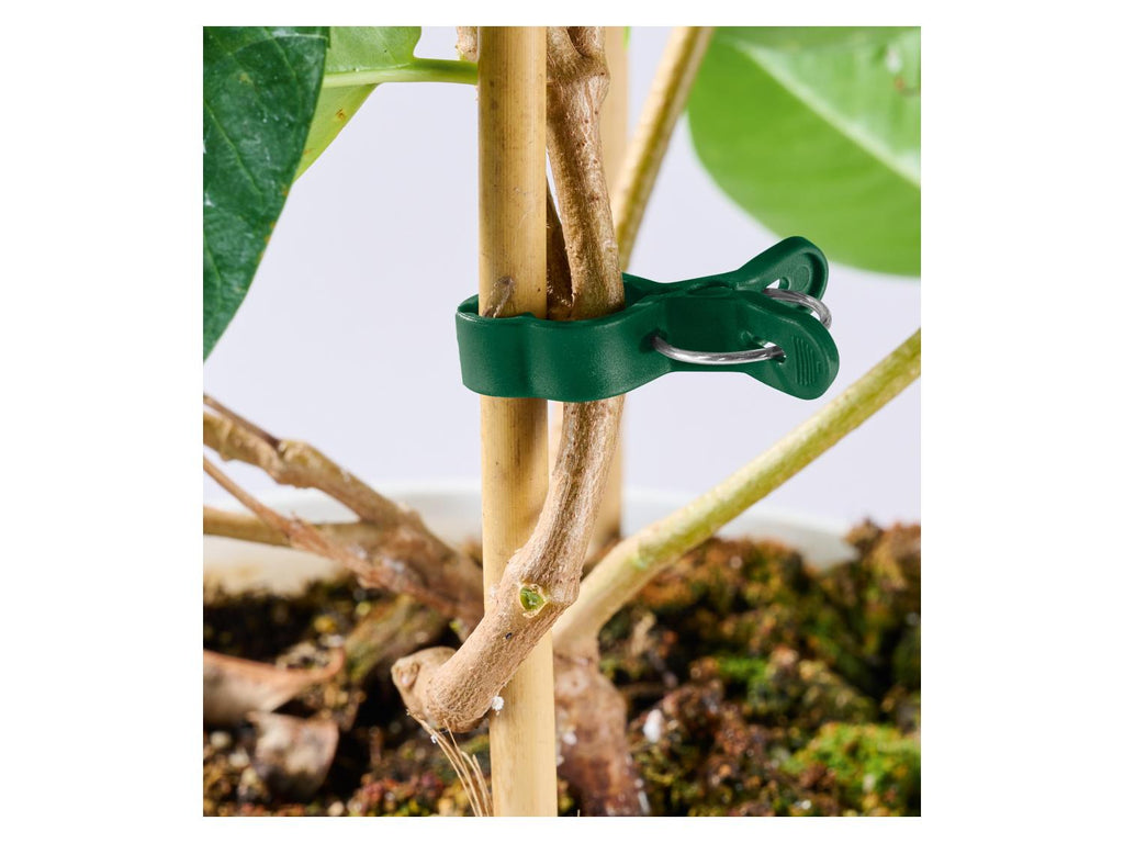 Set de supports ou fils pour plantes