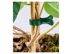 Set de supports ou fils pour plantes
