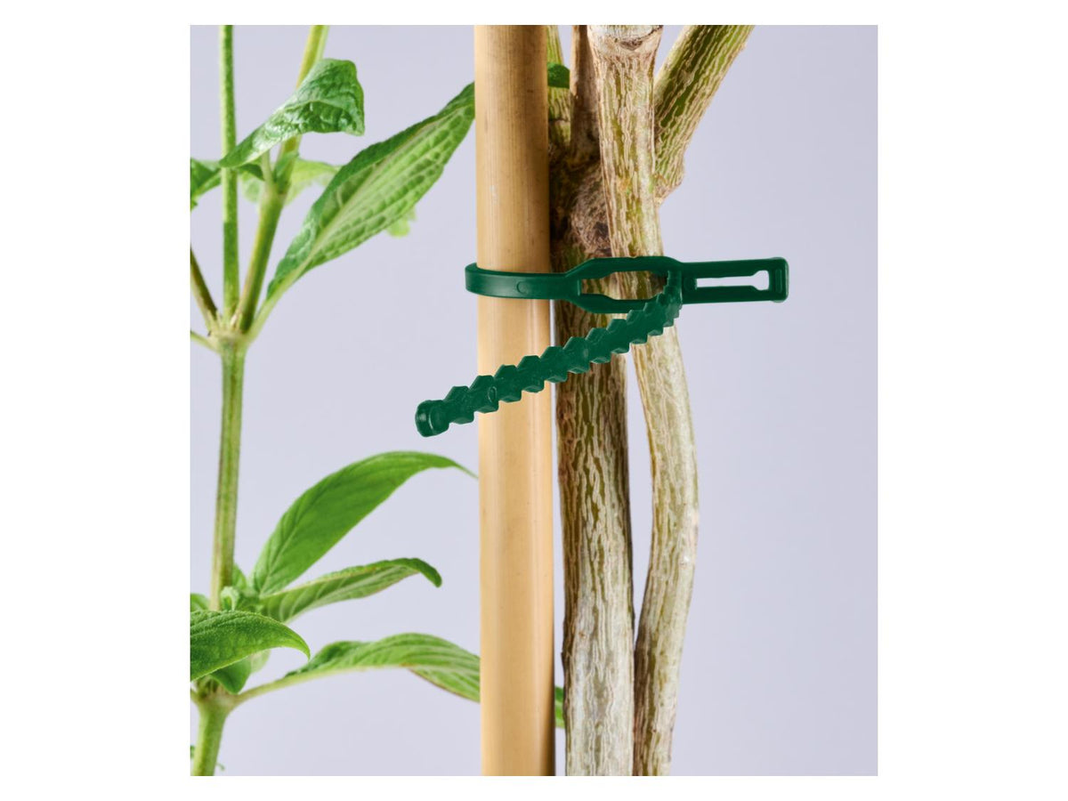 Set de supports ou fils pour plantes