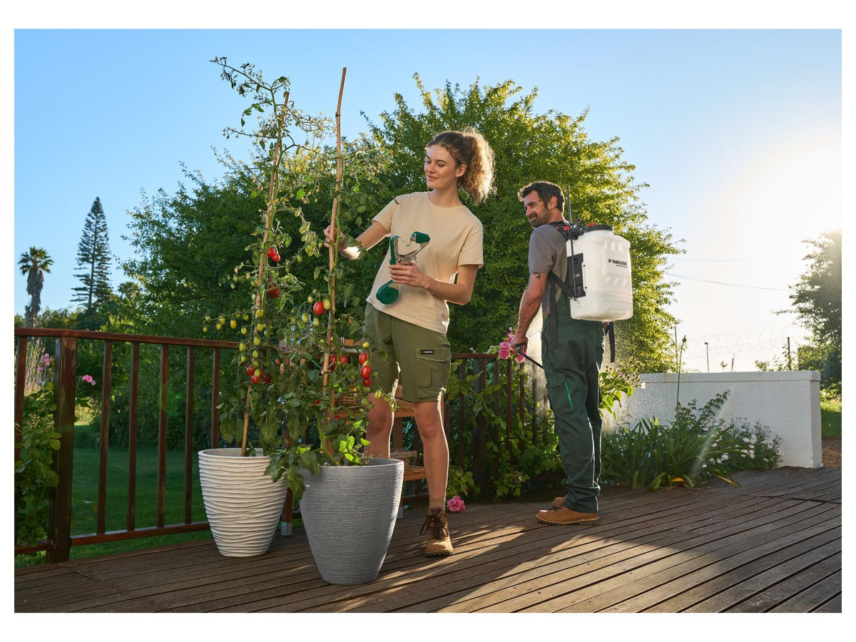 Set de supports ou fils pour plantes
