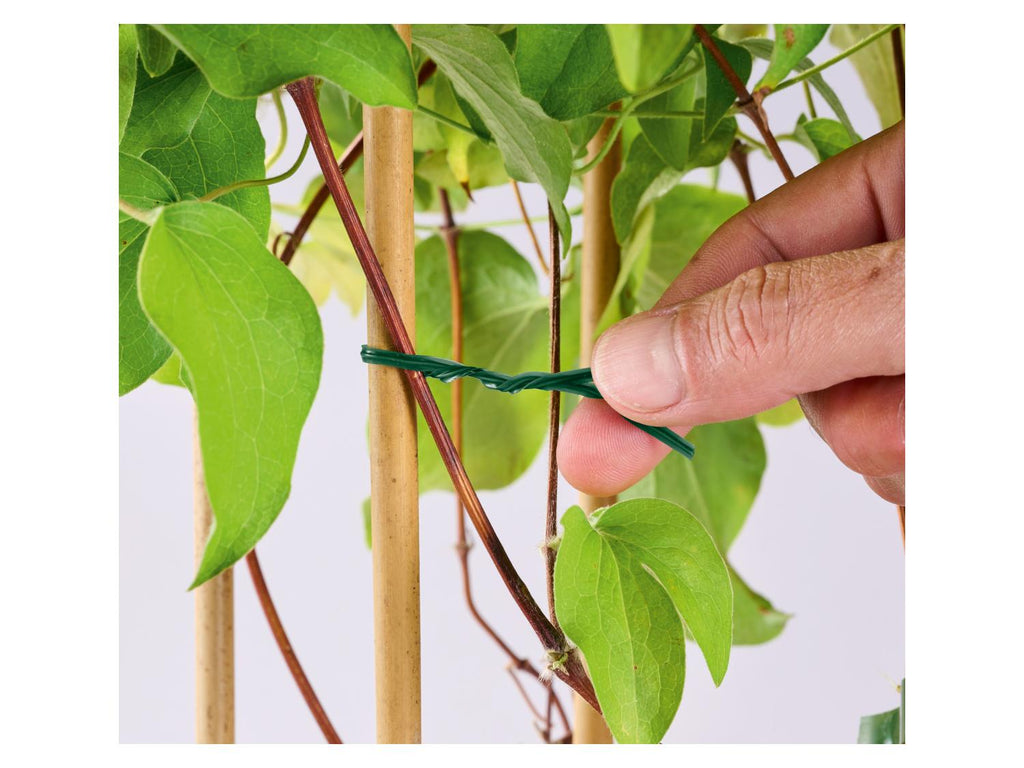 Set de supports ou fils pour plantes