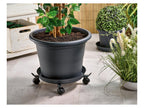 Support à roulettes télescopique pour plantes