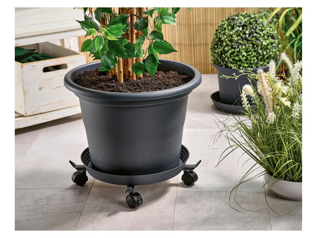 Support à roulettes télescopique pour plantes