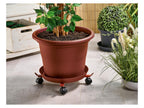 Support à roulettes télescopique pour plantes