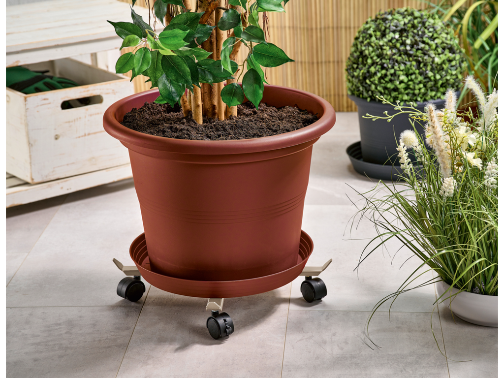 Support à roulettes télescopique pour plantes