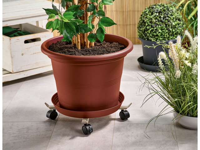 Support à roulettes télescopique pour plantes