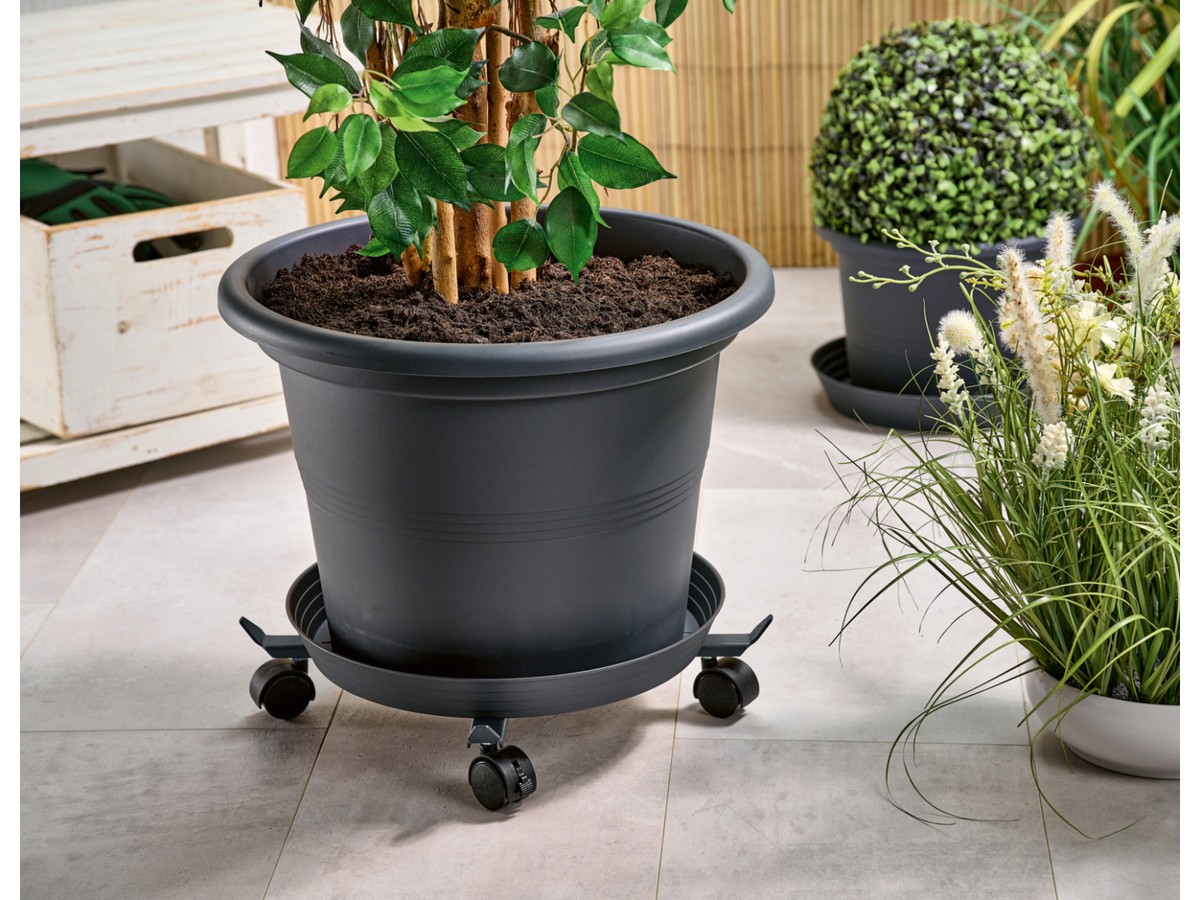 Support à roulettes télescopique pour plantes