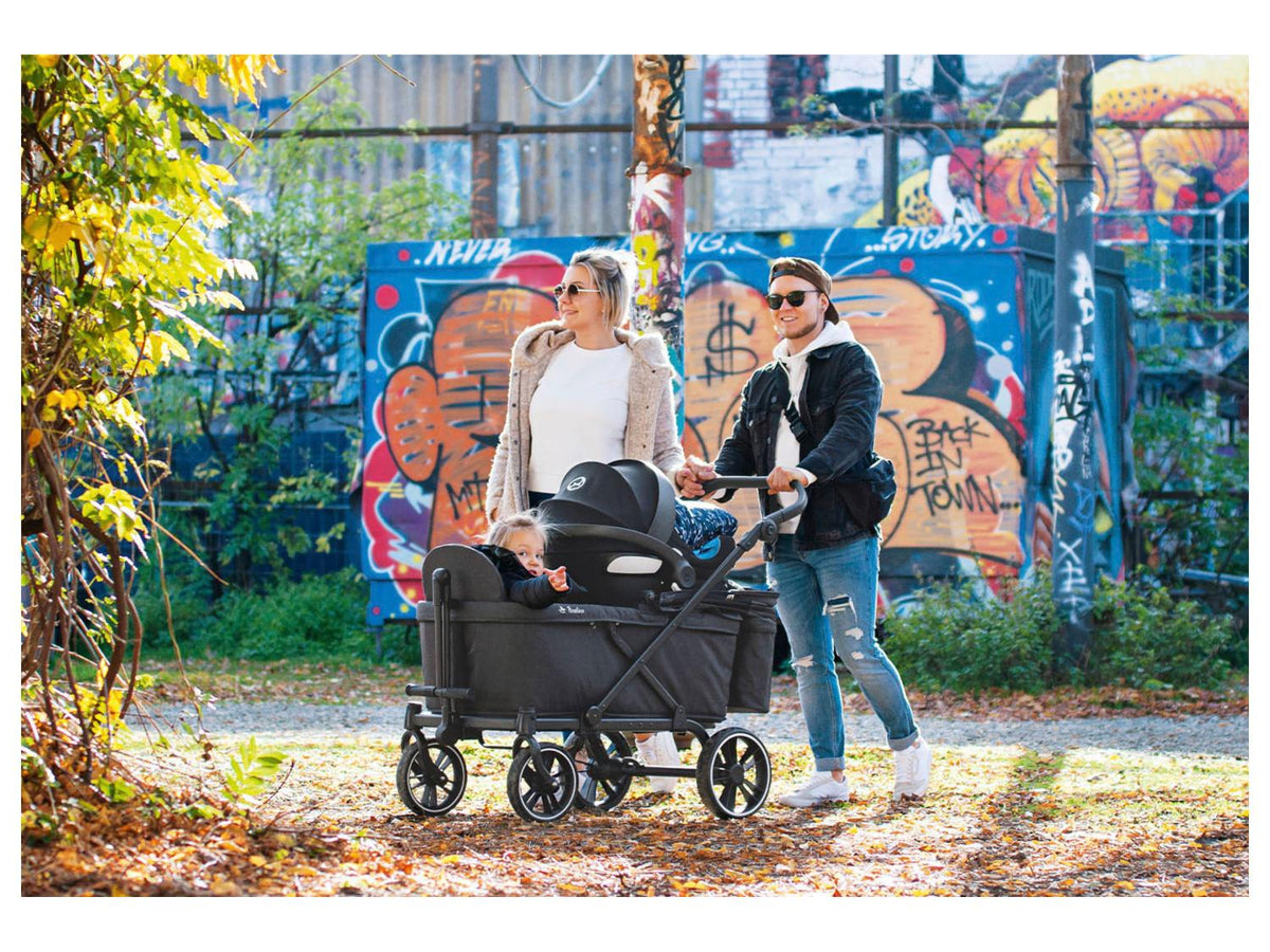 Chariot pliant »Cruiser«