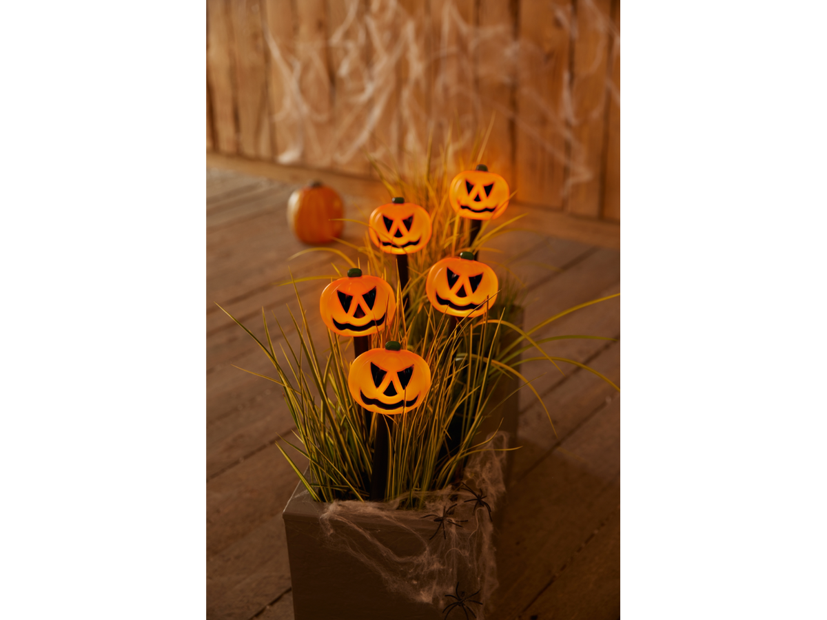 Piquets de jardin Halloween
