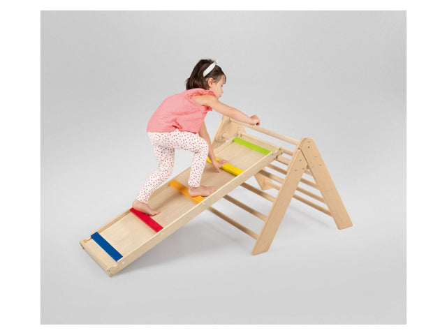 Échelle d’escalade et toboggan 2 en 1