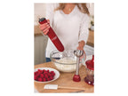 Mixeur plongeant Desire 3 en 1 »24700-56«, deux vitesses