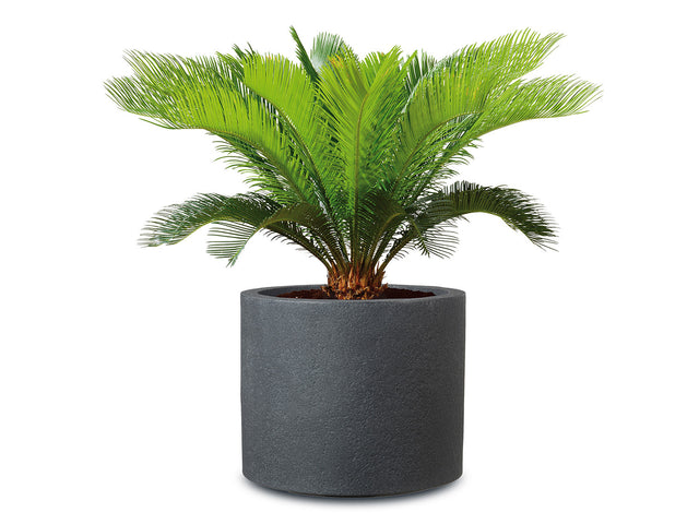 Pot à plantes « Riva », plastique, rond