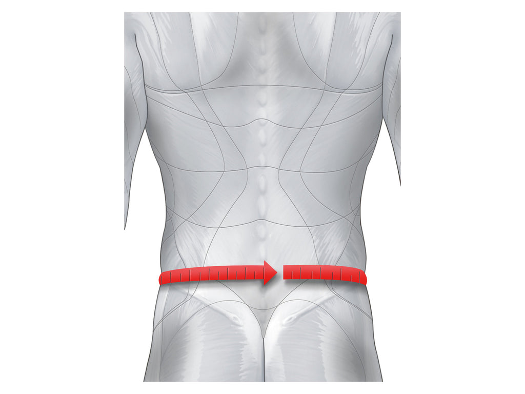 Ceinture lombaire