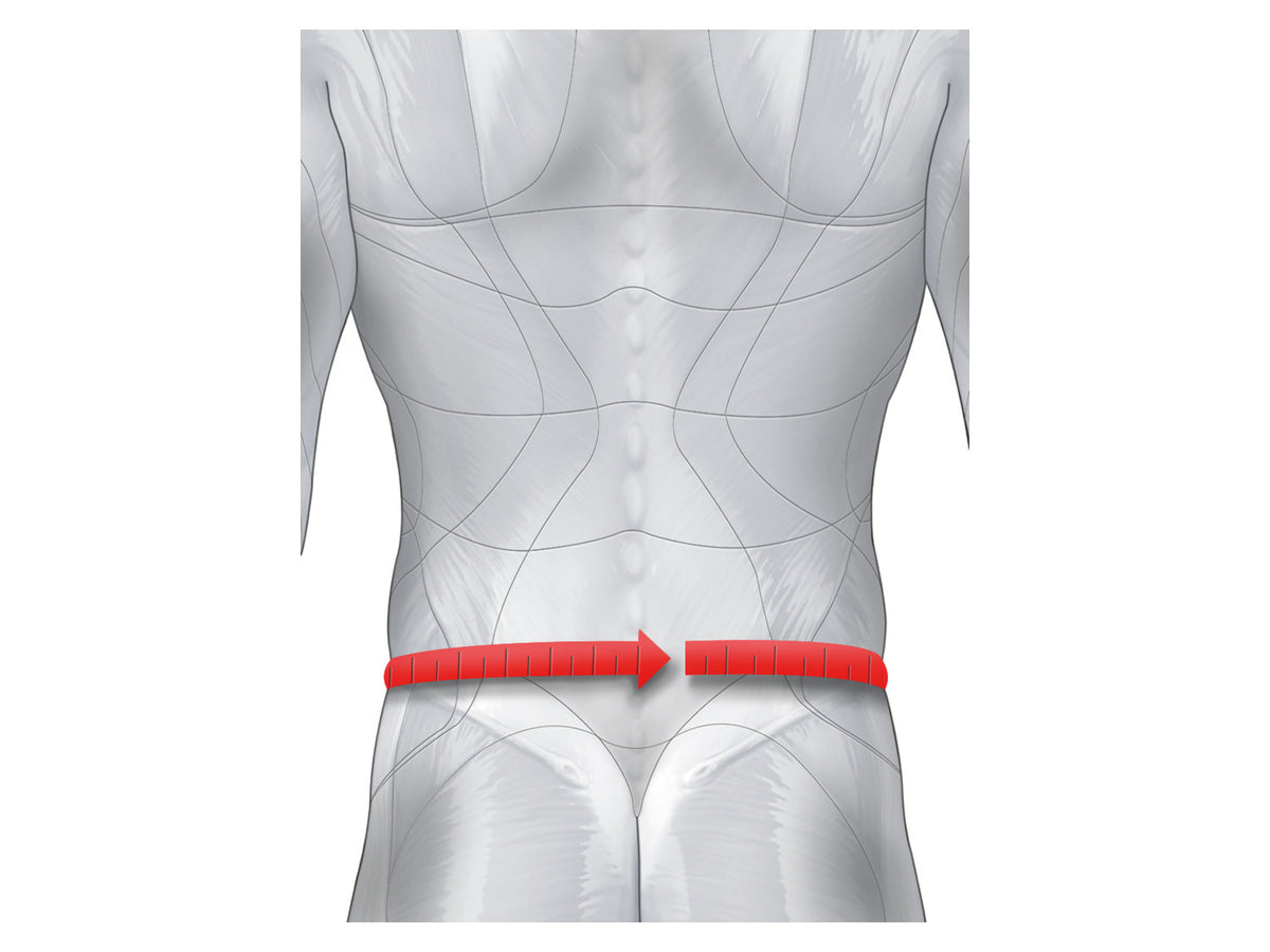 Ceinture lombaire