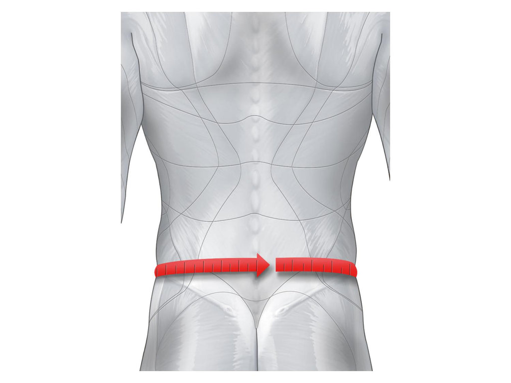 Ceinture lombaire