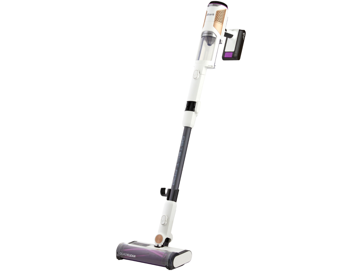 Aspirateur balai sans fil Detect Pro IW1611 (21,1 V)