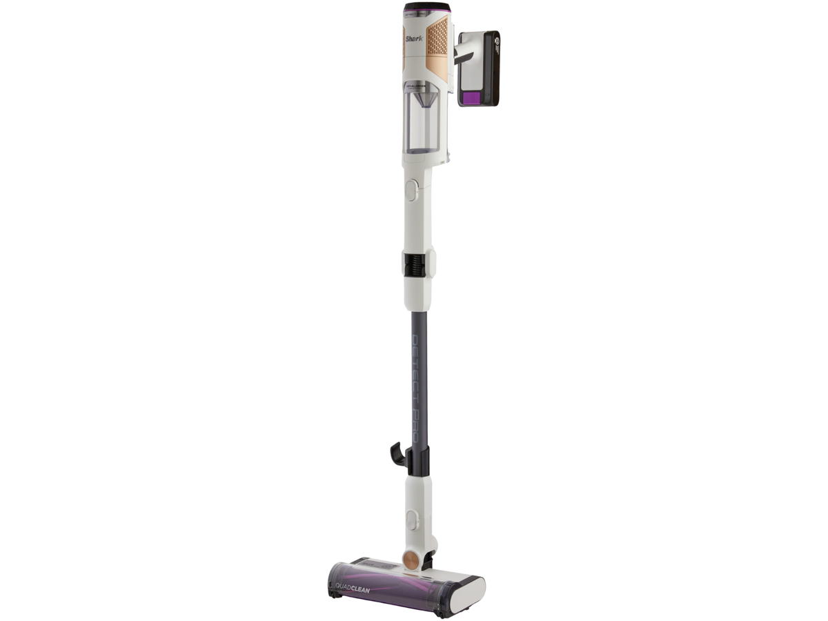 Aspirateur balai sans fil Detect Pro IW1611 (21,1 V)