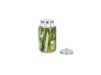Bocal de fermentation