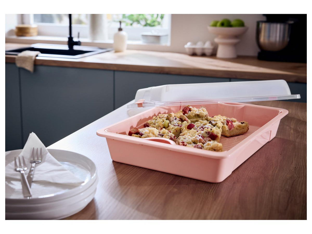 Boîtes repas fraîcheur ou Boîte fraîcheur ou Cloche à gâteau fraîcheur